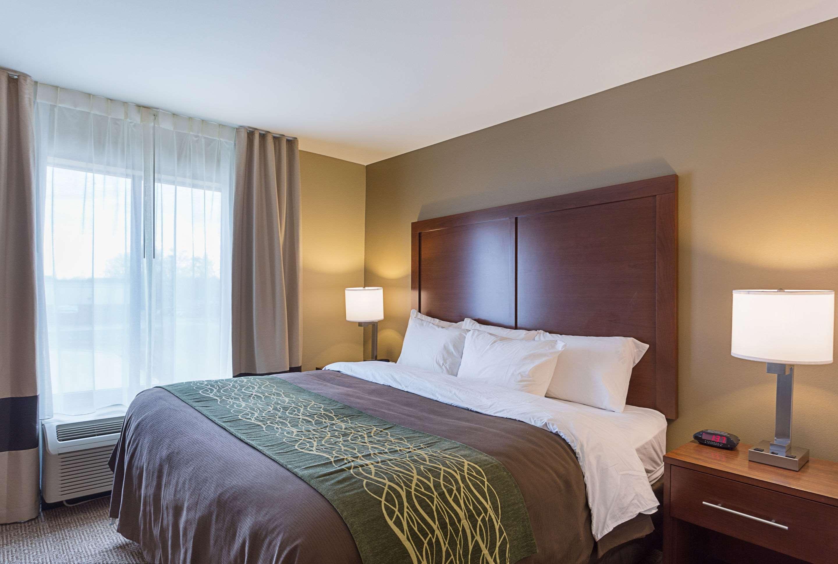 Comfort Inn & Suites Zachary Buitenkant foto