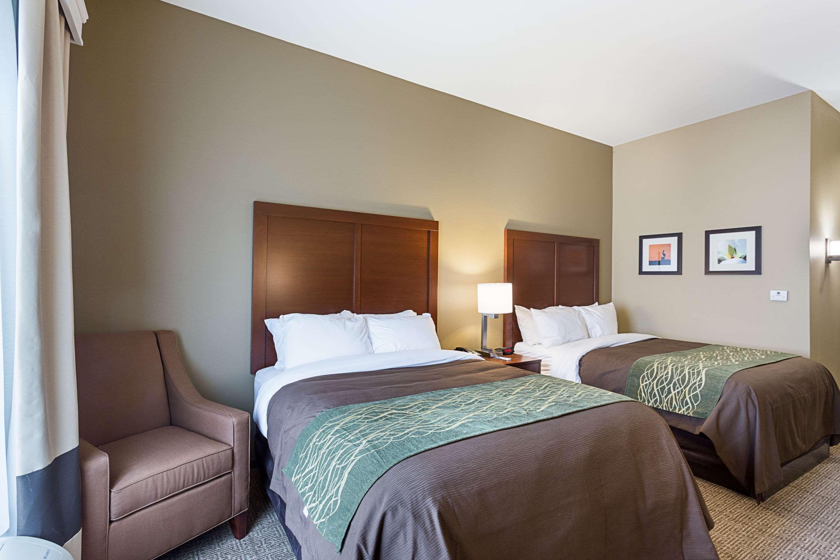 Comfort Inn & Suites Zachary Buitenkant foto
