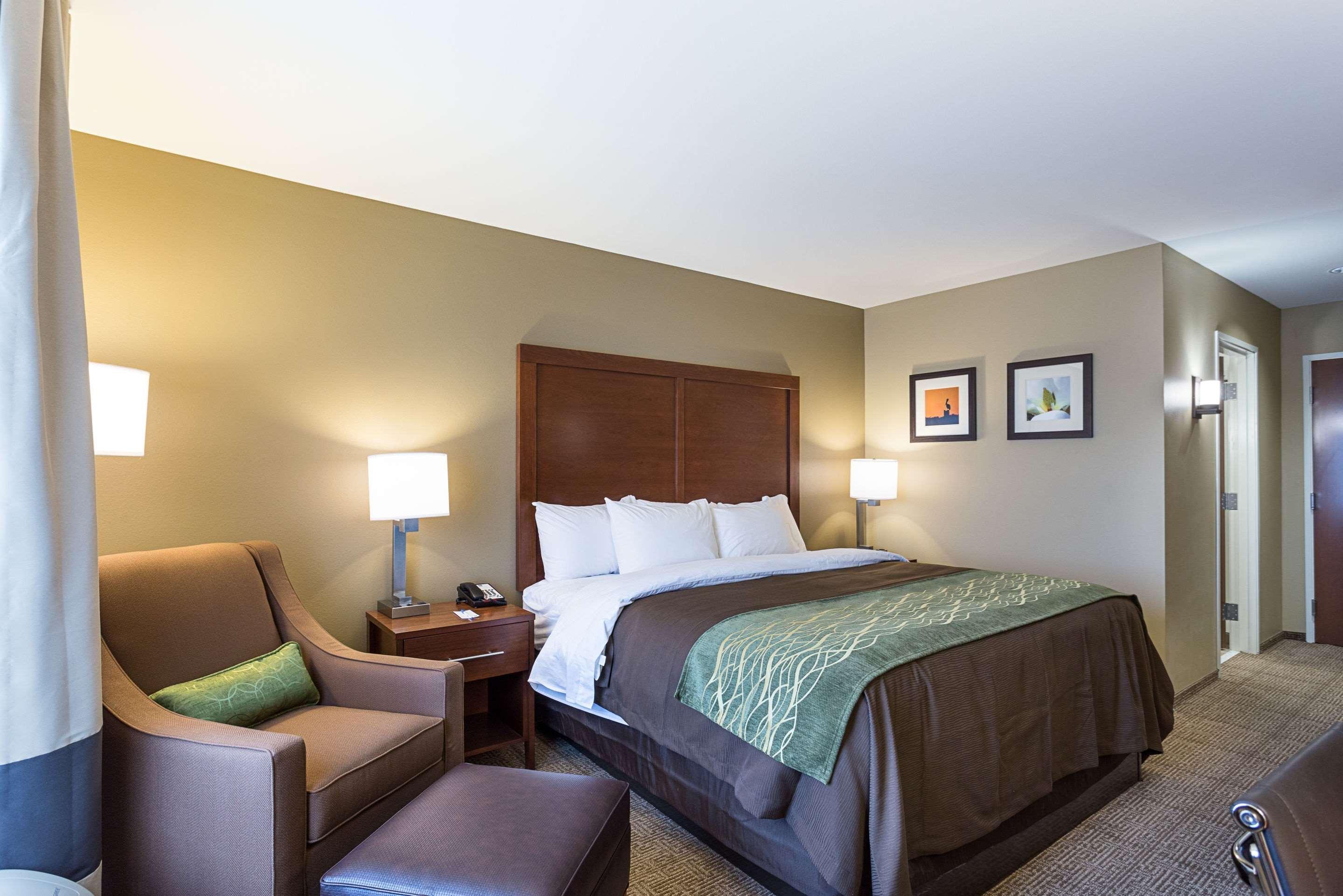 Comfort Inn & Suites Zachary Buitenkant foto